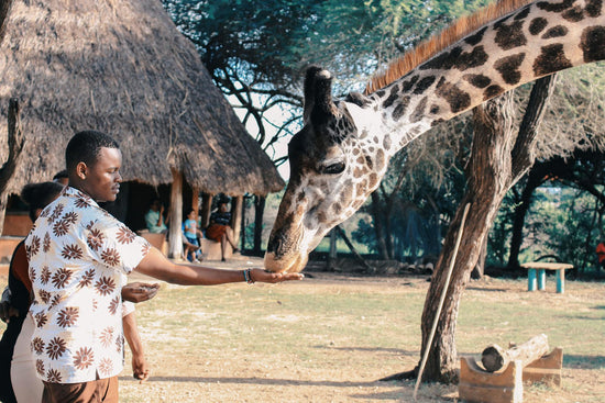 Backpacking in Kenya: A Complete Guide for Travelers