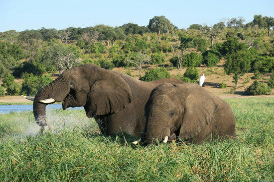 Backpacking in Botswana: A Complete Guide for Travelers
