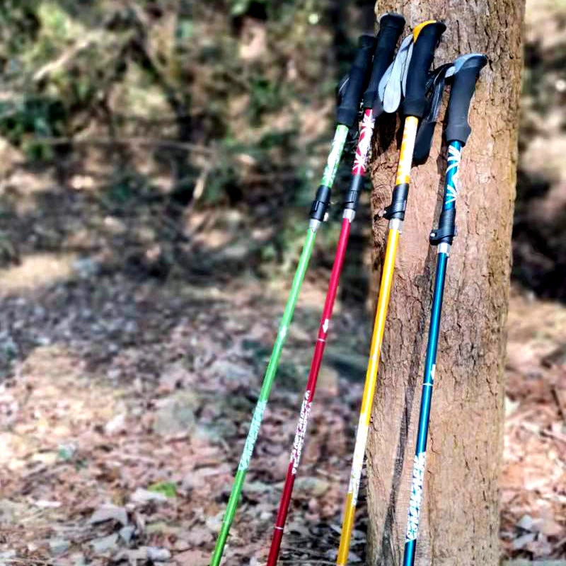 5-Section Foldable Trekking Pole