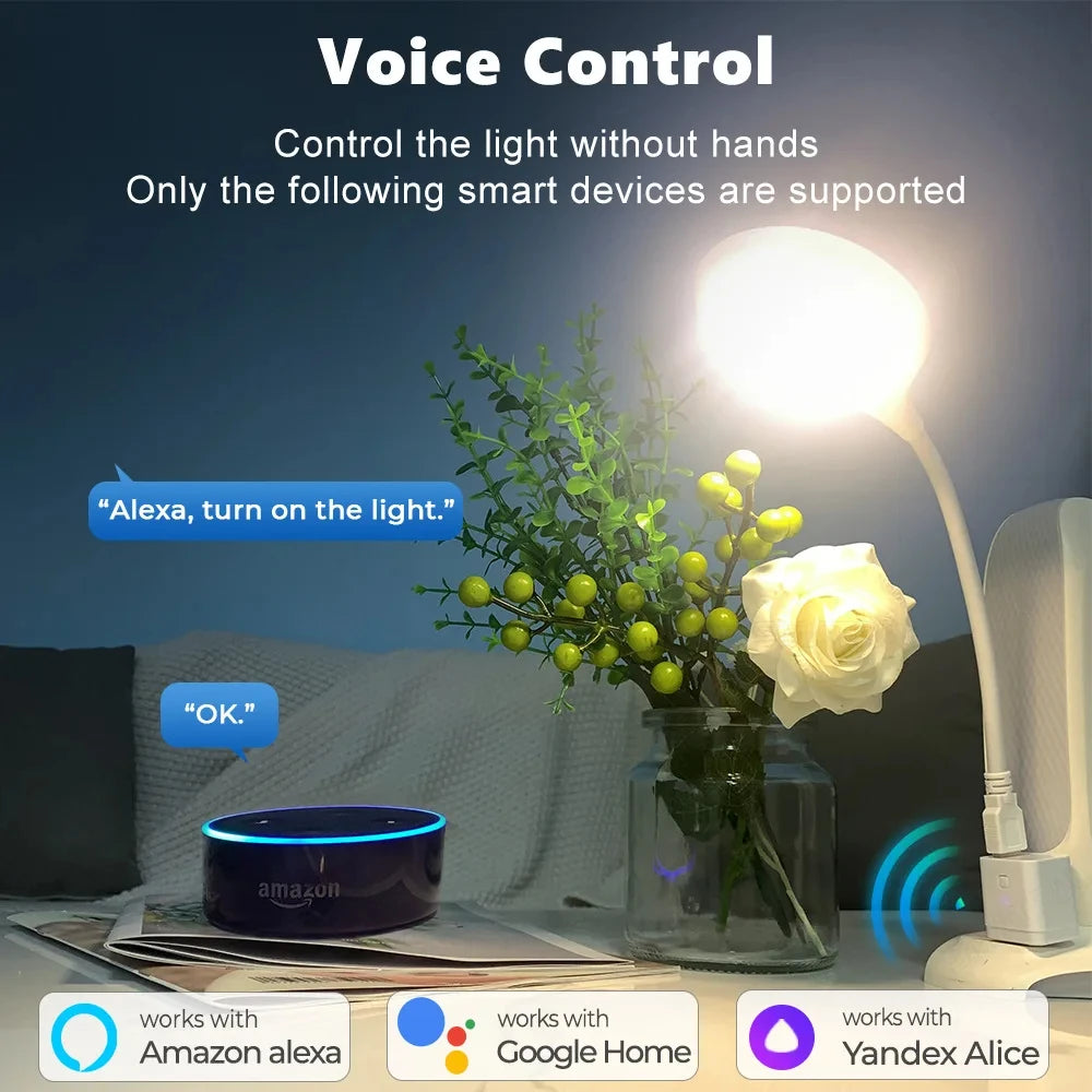 Tuya Smart USB Adapter Switch