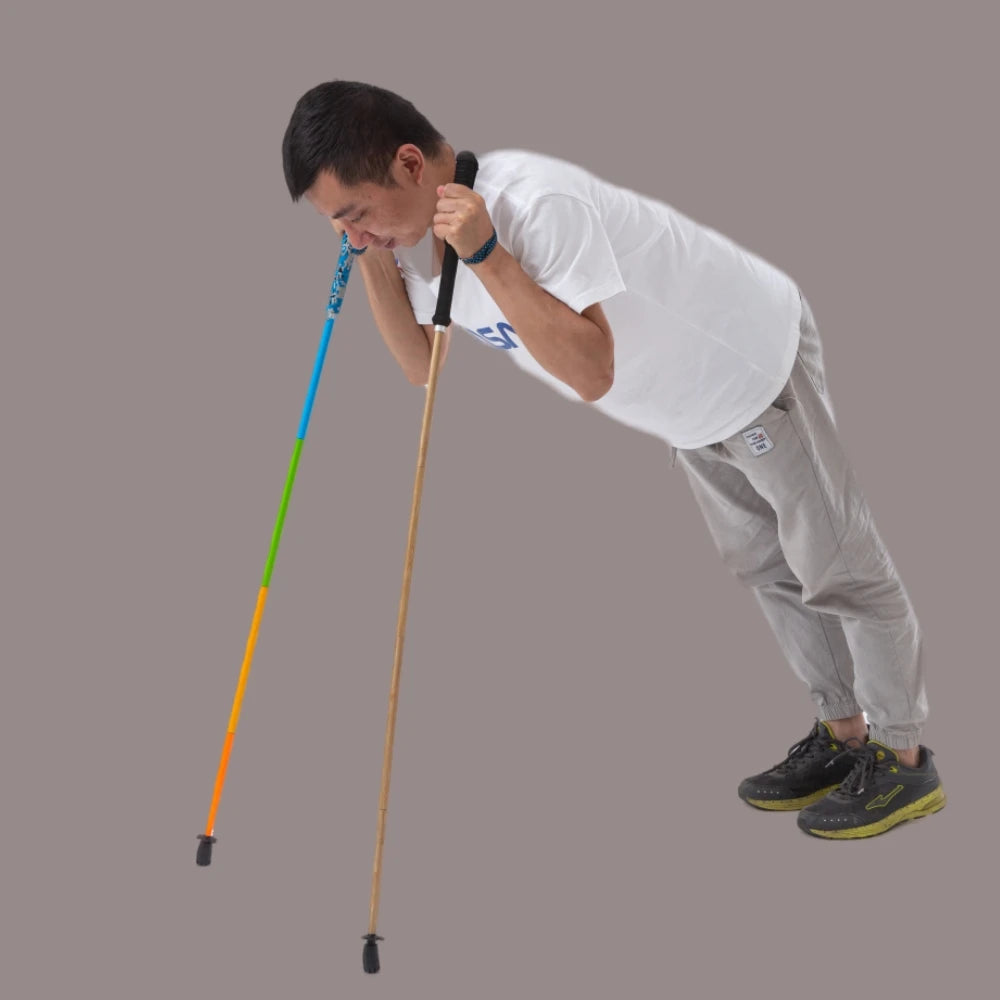 Hiking Pole Ultralight Trekking Poles