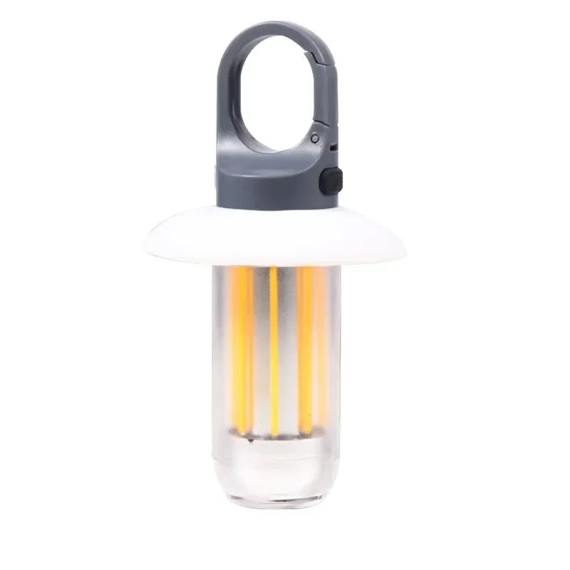 Rechargeable LED Portable Light