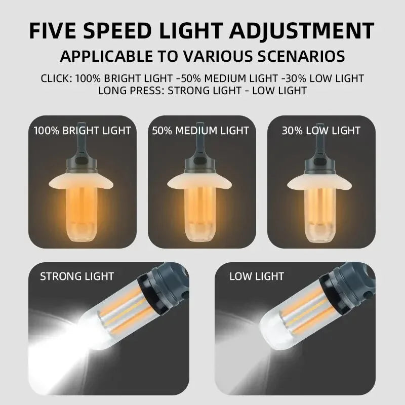 Rechargeable LED Portable Light