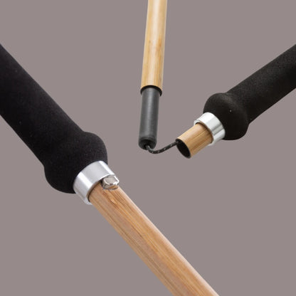 Hiking Pole Ultralight Trekking Poles